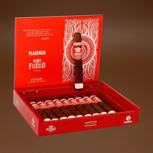 62 Plasencia Concepcion Alma Del Fuergo