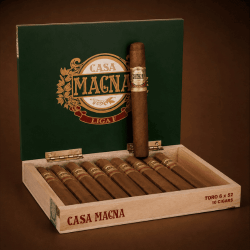 Casa Magna Liga F Toro